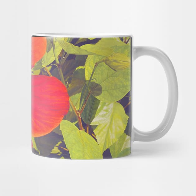 Pretty Red Flower with green leaves nature lovers beautiful photography design by BoogieCreates